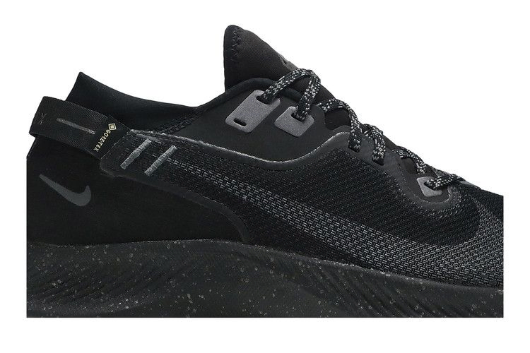 Кроссовки Nike Pegasus Trail 2 GTX 'Black Metallic Dark Grey'