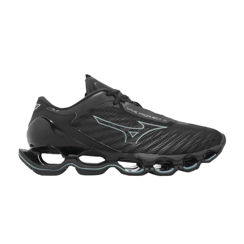 Кроссовки Mizuno Wave Prophecy 12 'Black Blue'