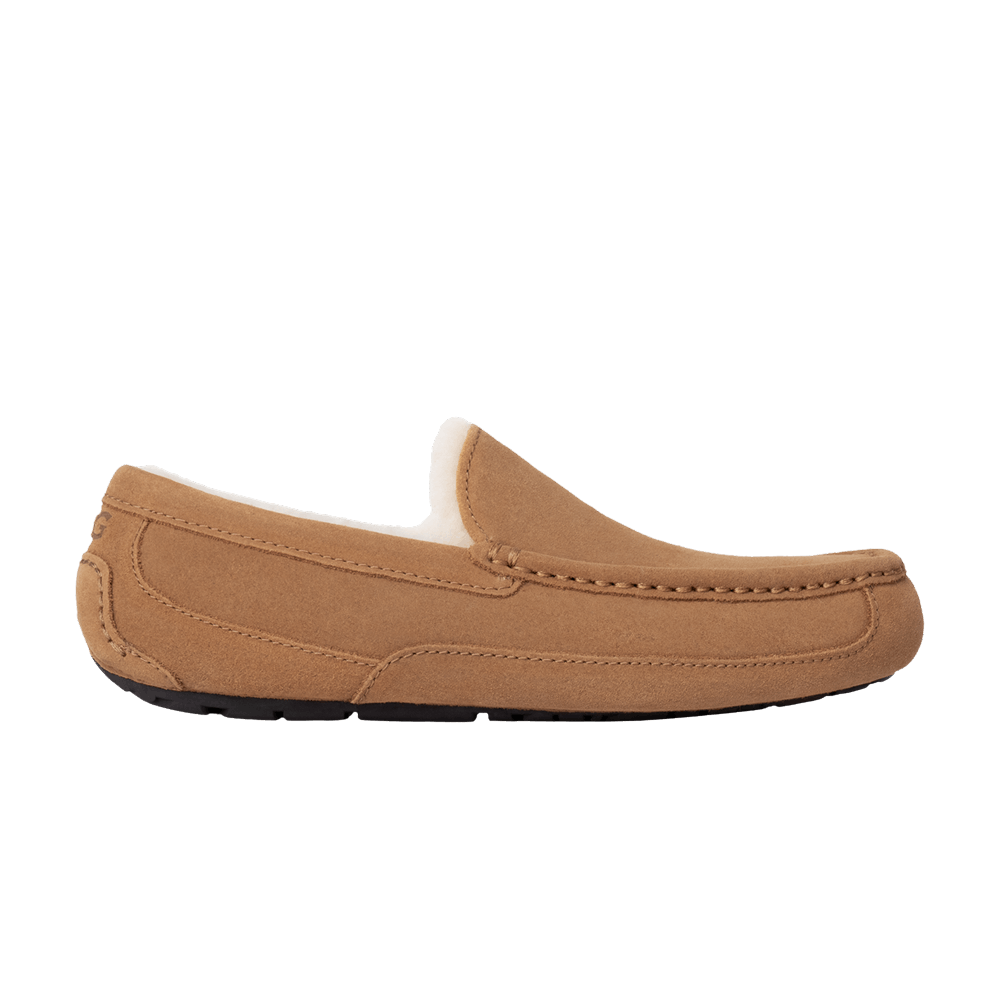 UGG Ascot Slipper 'Chestnut'