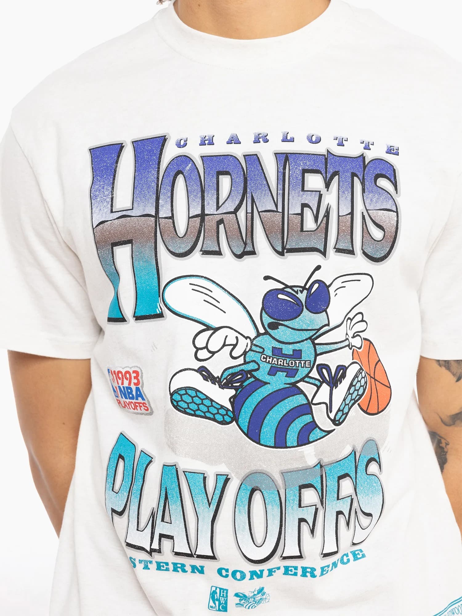 Mitchell-Ness-Charlotte-Hornets-Metallic-Vintage-T-Shirt-2