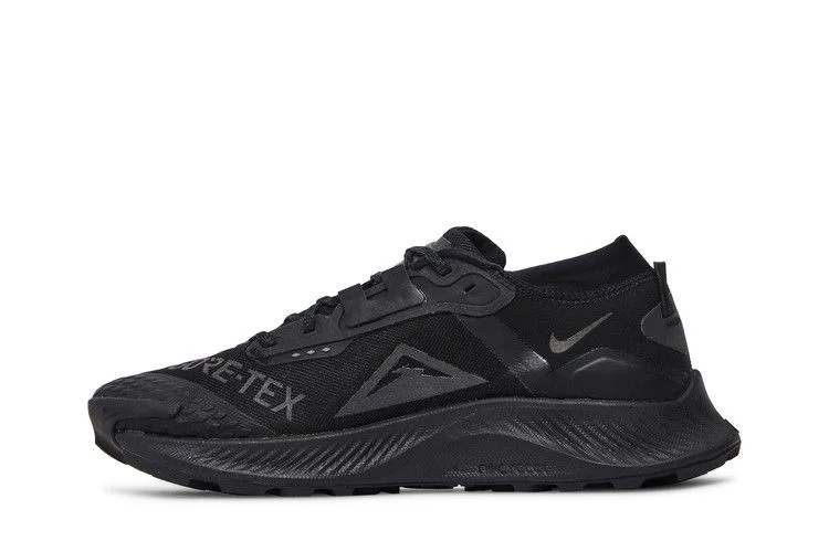 Krossovki-Nike-Pegasus-Trail-3-GTX-Triple-Black-2