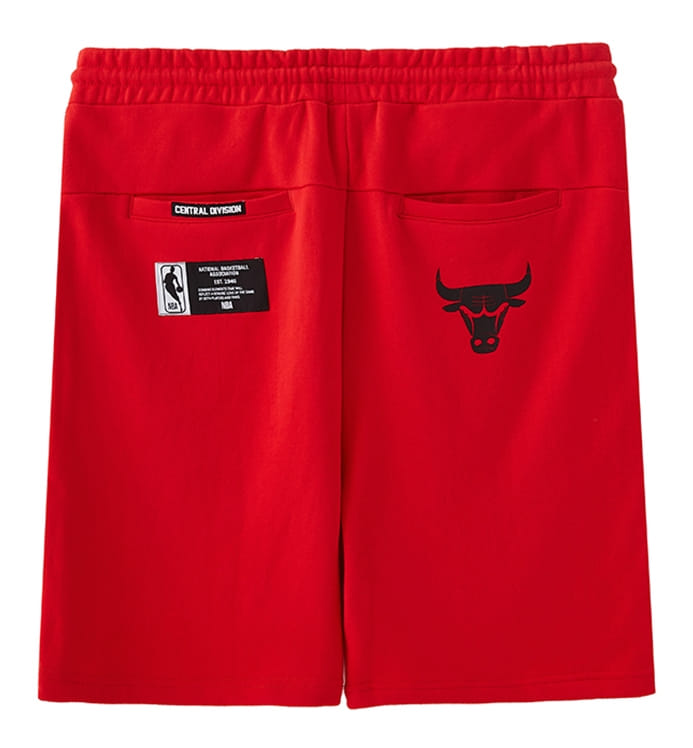 Спортивные шорты 2018 NBA Chicago Bulls Red Shorts