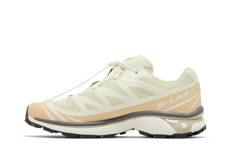 Кроссовки Salomon XT-6 'Aloe Wash Hazelnut'