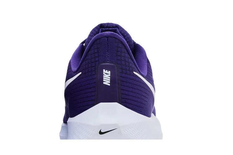 Кроссовки Nike Air Zoom Pegasus 39 Turbo 'Court Purple'