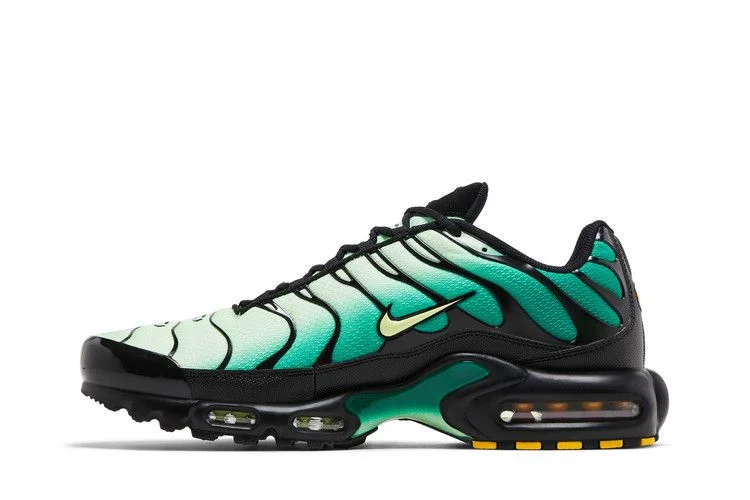 Кроссовки Nike Air Max Plus 'Vapor Green Gradient'