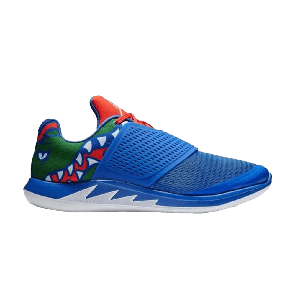 Krossovki-Air-Jordan-Grind-2-Florida-Gators