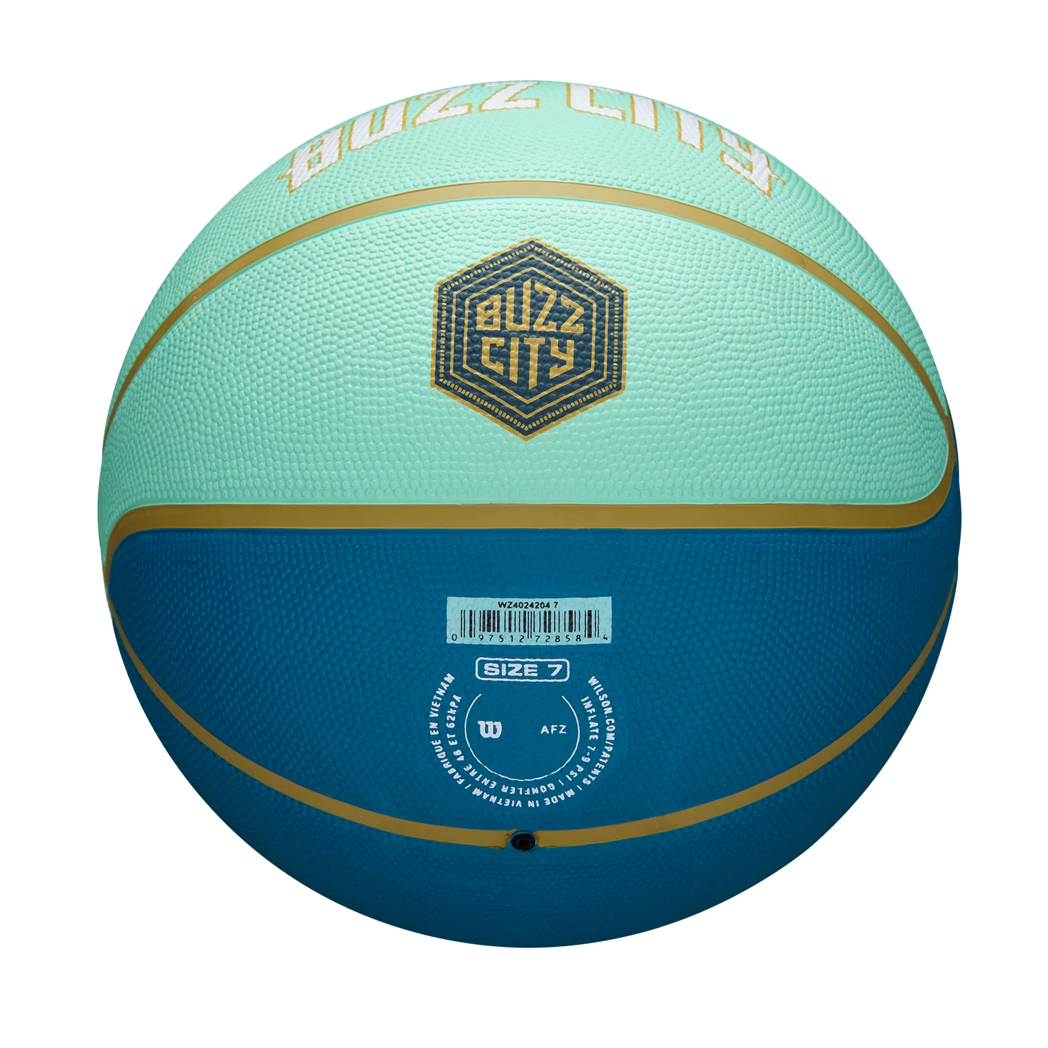 Wilson-Charlotte-Hornets-2024-City-Edition-NBA-Basketball-3
