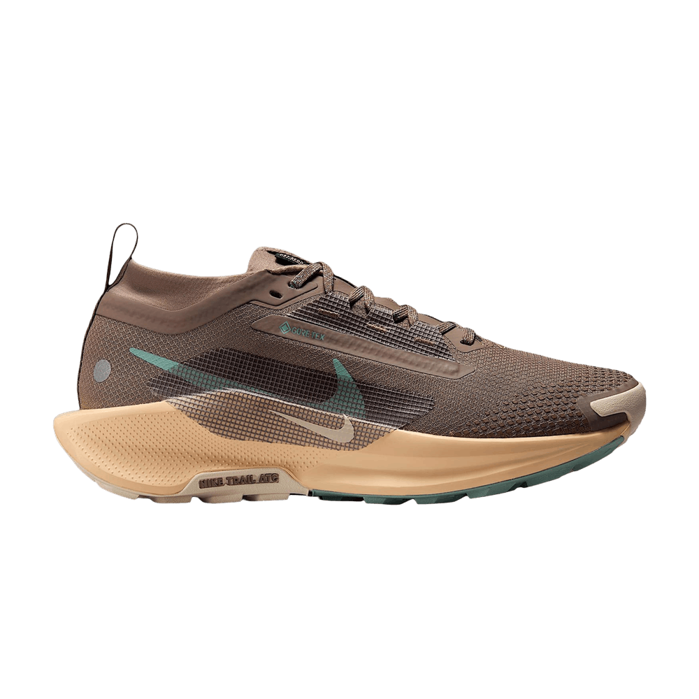 Кроссовки Nike Wmns Pegasus Trail 5 GORE-TEX 'Mink Brown Orange Chalk'