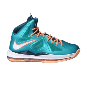lebron-10-miami-dolphins-541100-302-300x300