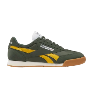 campio-xt-grit-gold-gum-100230427-300x300