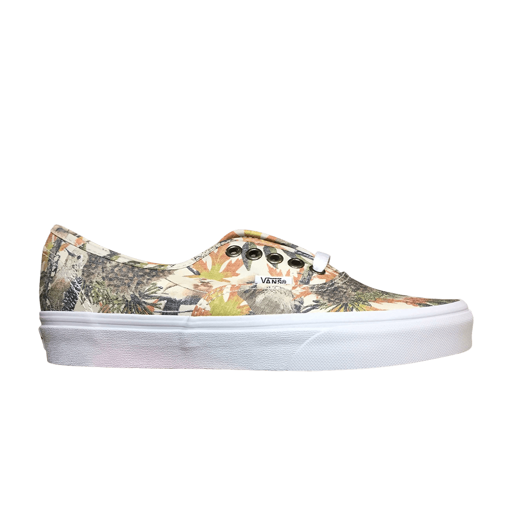 authentic-birds-vn0a38emoay