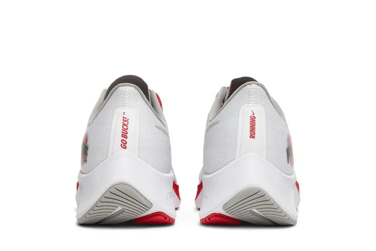 Кроссовки Nike Air Zoom Pegasus 37 'Ohio State'