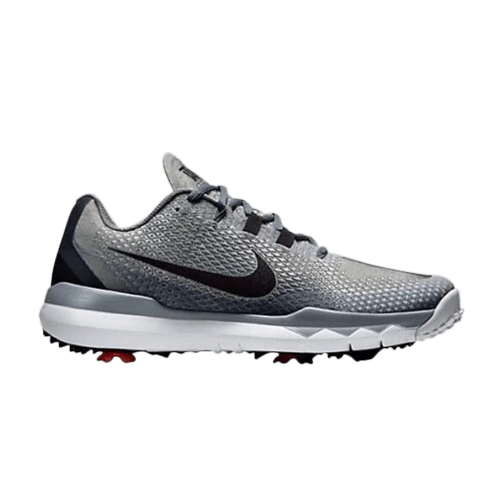 Кроссовки Nike TW '15 Tiger Woods 'Metallic Silver'