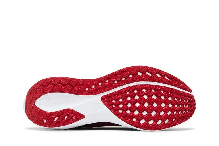 Кроссовки Nike Air Zoom Pegasus 41 'Georgia 2024'