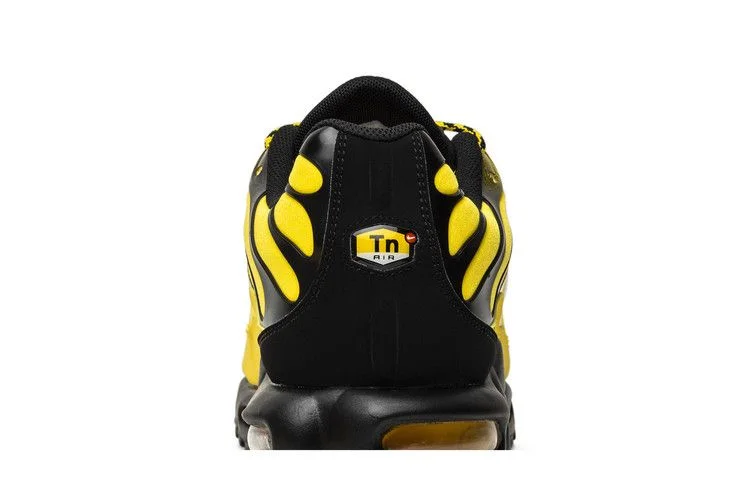 Кроссовки Nike Air Max Plus 'Frequency Pack'