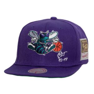 Mitchell-Ness-Jersey-Love-Snapback-HWC-Charlotte-Hornets-Hat-300x300