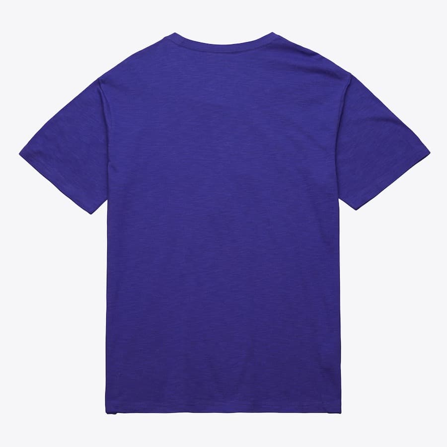 Футболка Mitchell & Ness Purple Phoenix Suns Vintage Logo Legendary Slub T-Shirt