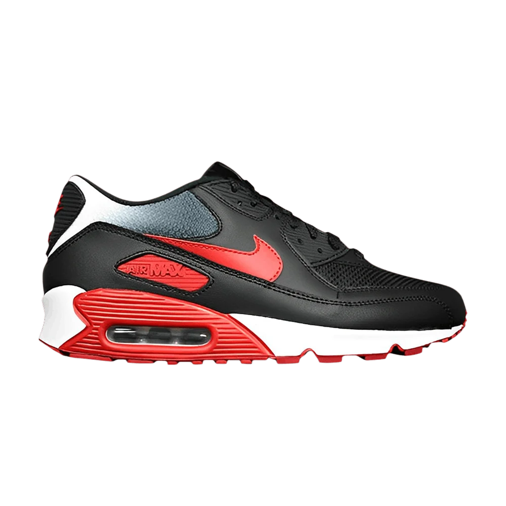 Krossovki-Nike-Air-Max-90-Bred-Metallic-Silver