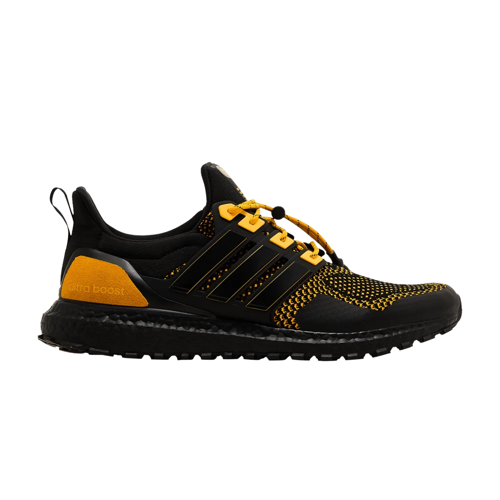 Krossovki-adidas-UltraBoost-1.0-NCAA-Pack-Grambling-State