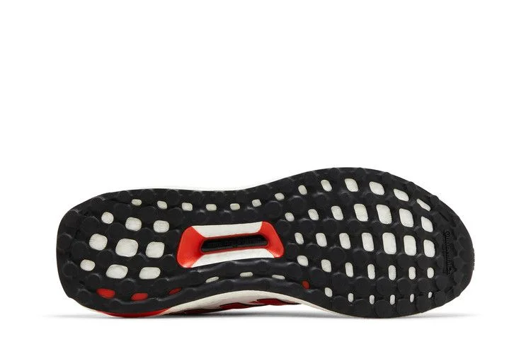 Krossovki-adidas-UltraBoost-1.0-Lindsey-Horan-PE-3