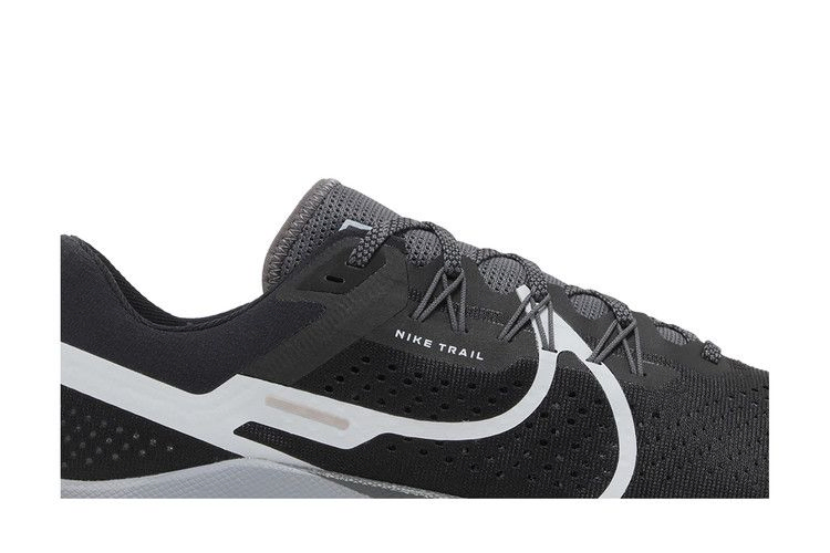 Кроссовки Nike React Pegasus Trail 4 'Black Dark Grey'