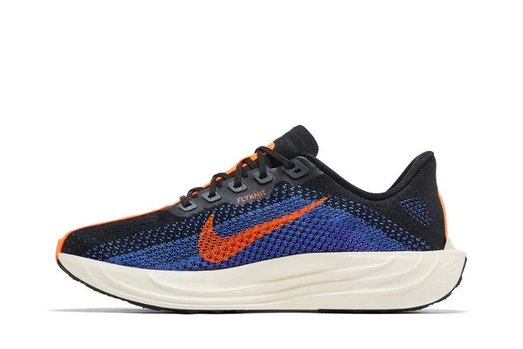 Кроссовки Nike Pegasus Plus 'Black Blue Crimson'