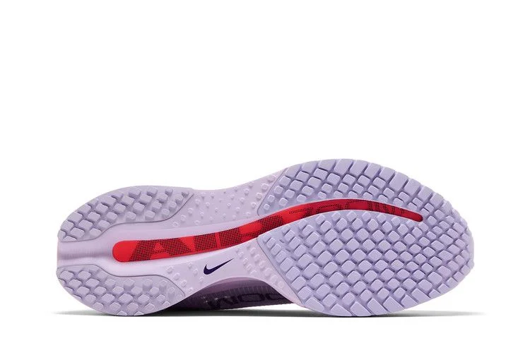 Кроссовки Nike Wmns Pegasus Premium 'Barley Grape'