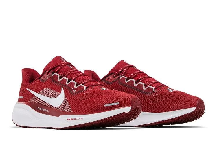 Krossovki-Nike-Air-Zoom-Pegasus-41-Alabama-2024-7