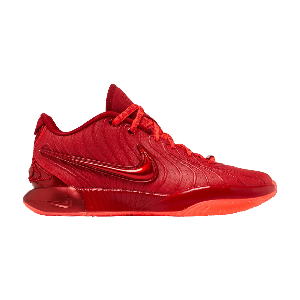 Krossovki-Nike-LeBron-21-James-Gang