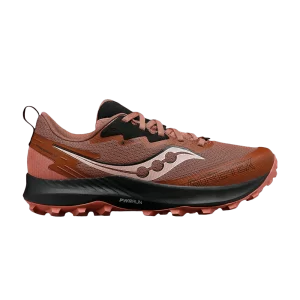 wmns-peregrine-14-gore-tex-clove-black-s10918-120-300x300