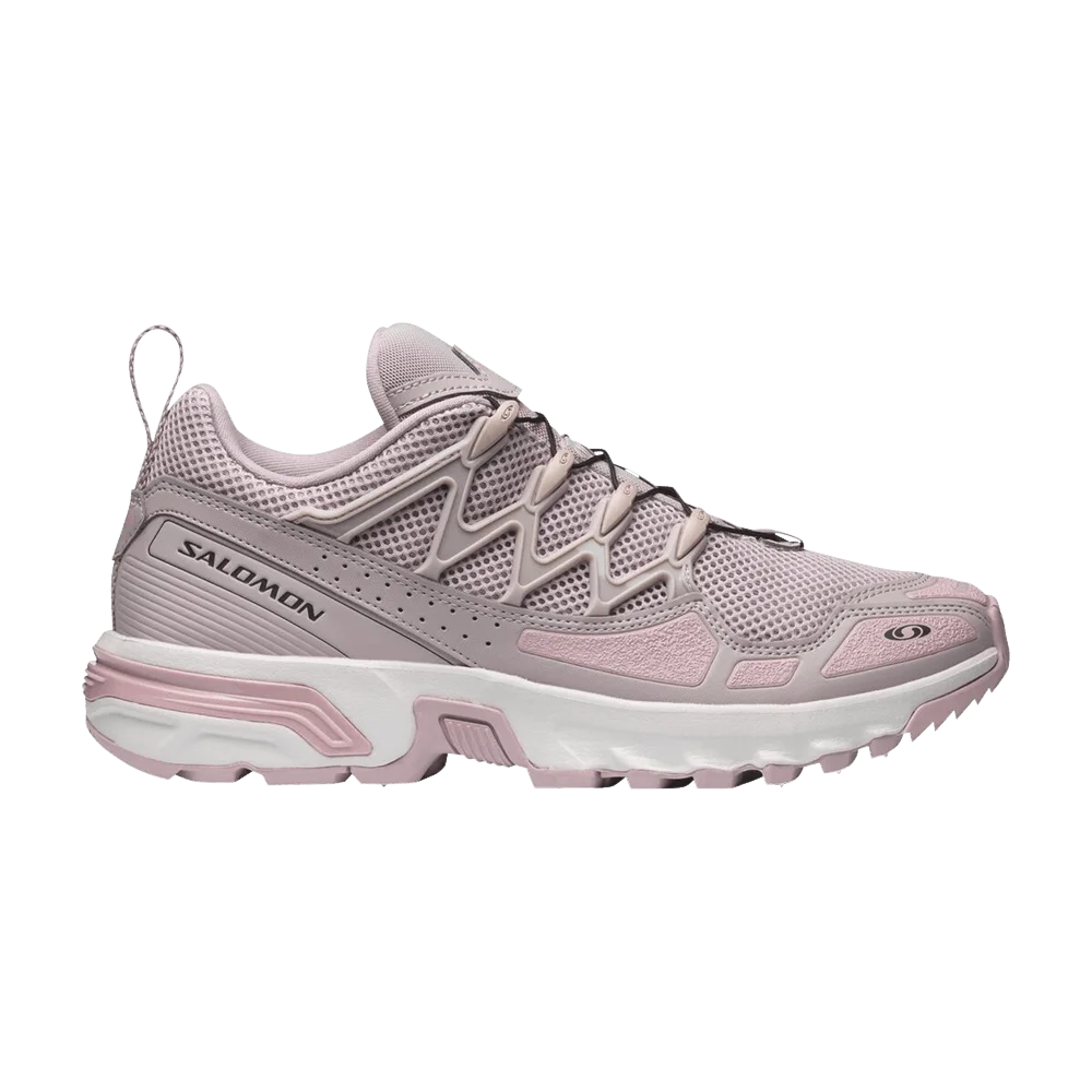 Krossovki-Salomon-ACS-OG-Cloud-Grey-Pale-Mauve