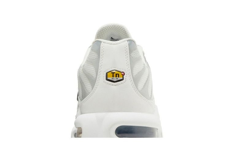 Кроссовки Nike Wmns Air Max Plus 'Smoke Grey Ashen Slate'