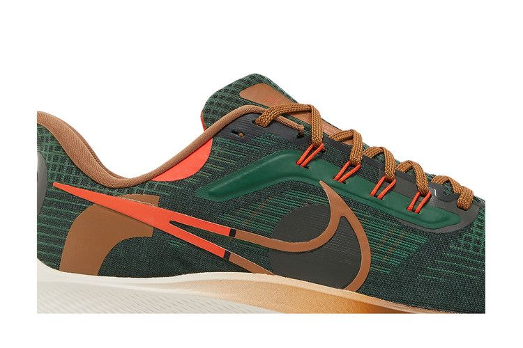 Кроссовки Hola Lou x Nike Air Zoom Pegasus 39 'A.I.R.'