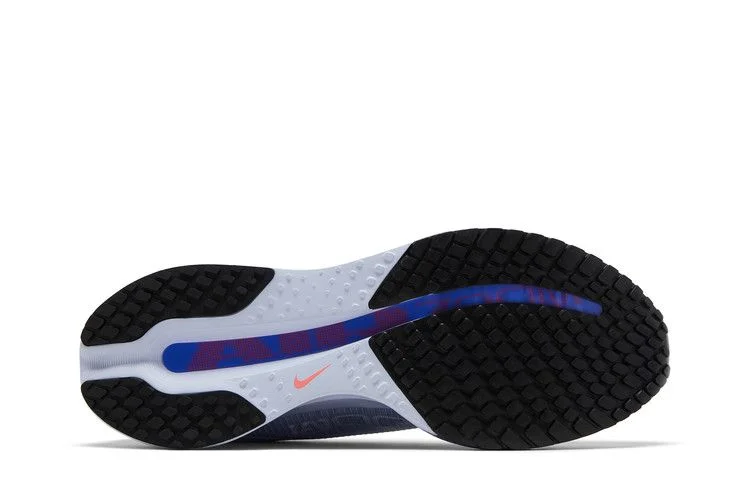 Кроссовки Nike Pegasus Premium 'Persian Violet'