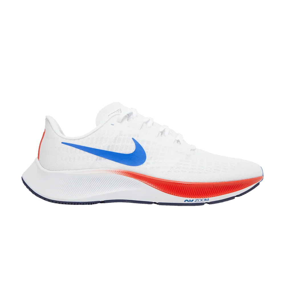 Krossovki-Nike-Air-Zoom-Pegasus-37-USA