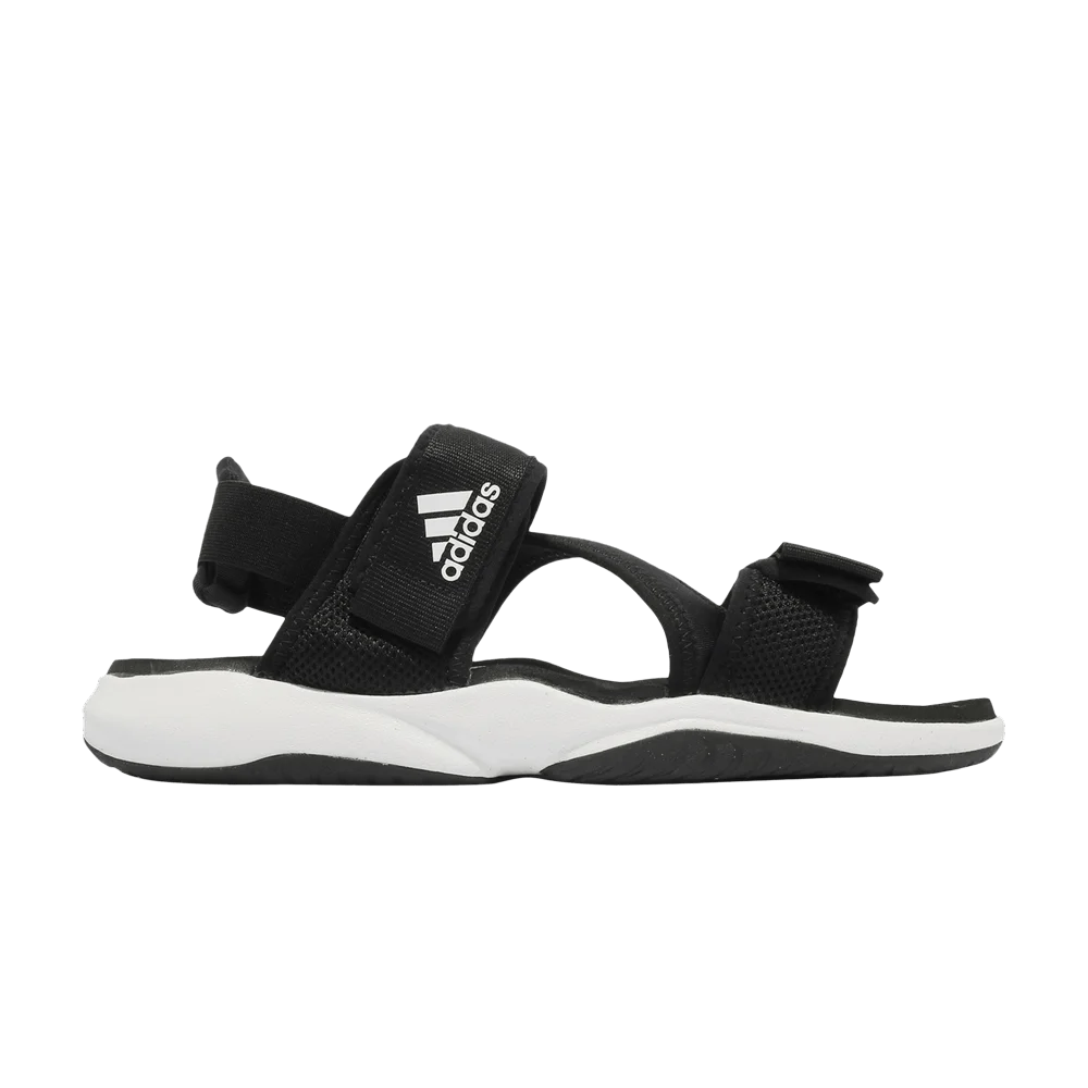 Кроссовки Adidas Terrex Sumra 'Black White'