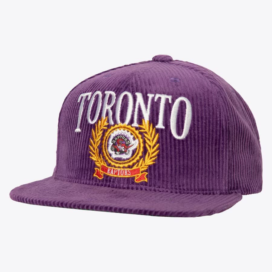 Бейсболка Mitchell & Ness Purple Toronto Raptors Hardwood Classics Levelz Snapback Hat