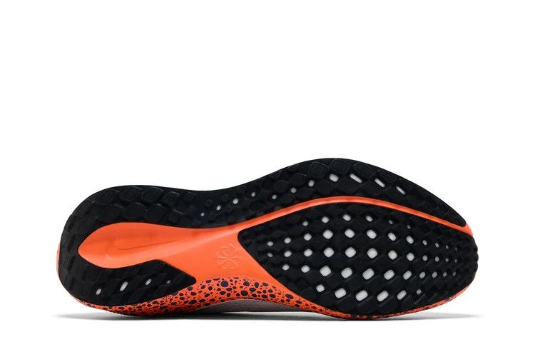 Кроссовки Nike Air Zoom Pegasus 41 EasyOn 'Electric Pack'