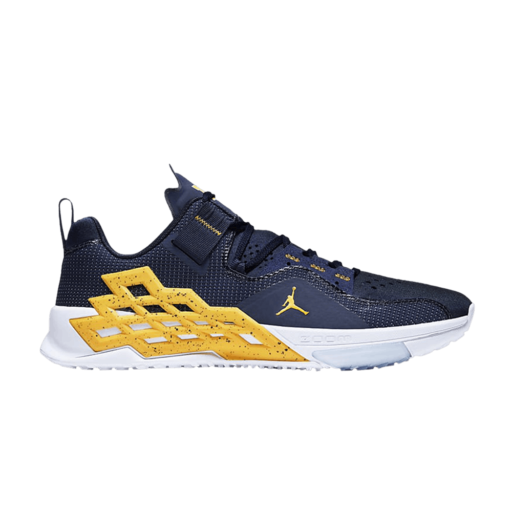 Кроссовки Air Jordan Alpha 360 TR 'Michigan'