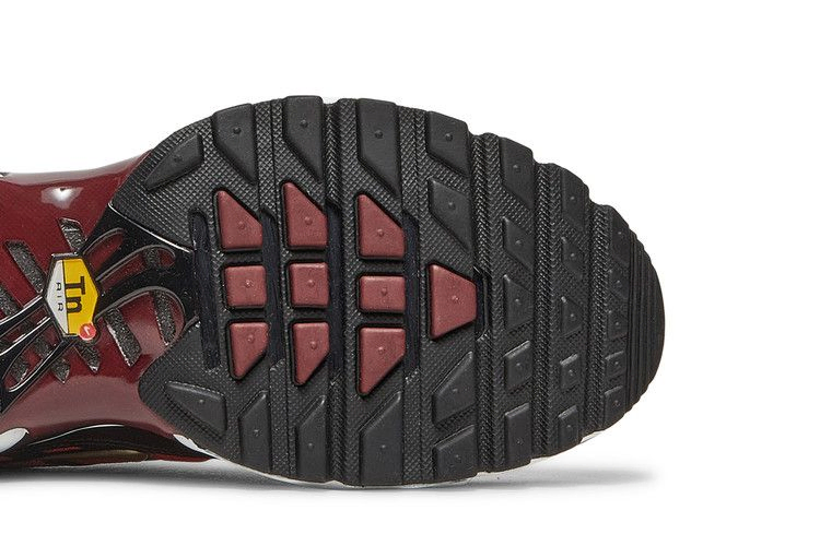 Кроссовки Nike Wmns Air Max Plus 'Sisterhood'