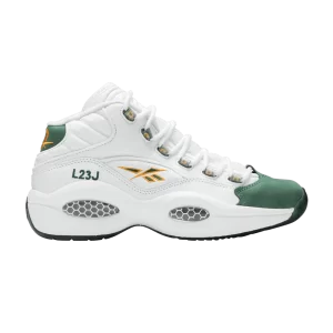 question-mid-lebron-james-v53579-300x300
