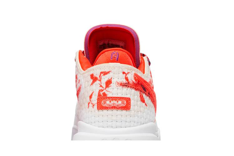 Кроссовки Mimi Plange x Nike LeBron 20 Premium EP 'Ceremony'