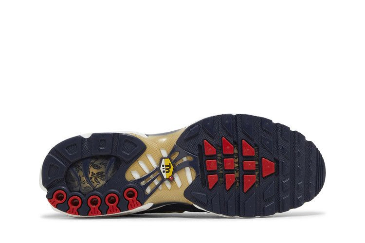 Кроссовки Nike Air Max Plus 'French Football Federation'