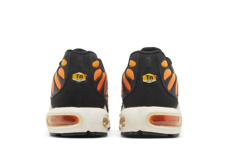 air-max-plus-txt-tn-tiger-647315-700_05