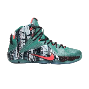 lebron-12-xmas-akron-birch-707558-363-300x300