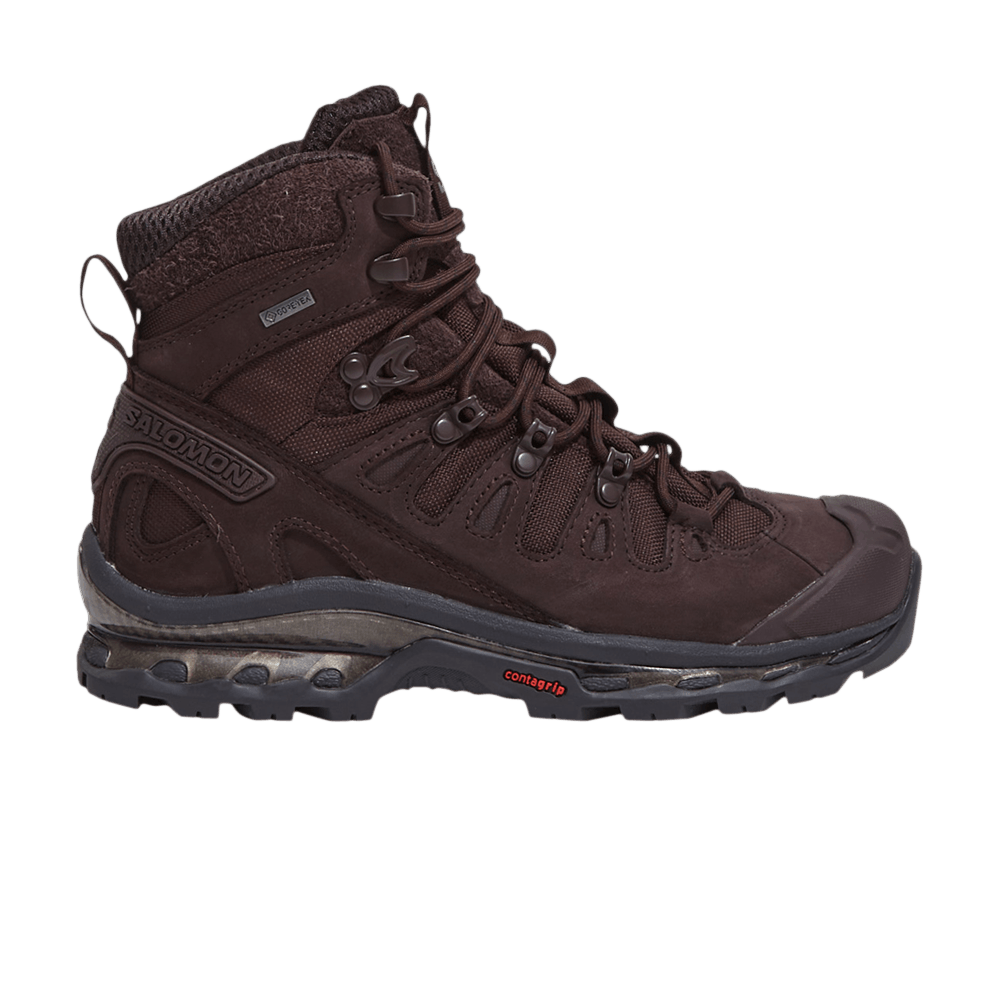 Кроссовки Salomon Quest 3 4D GORE-TEX 'Chocolate Plum'