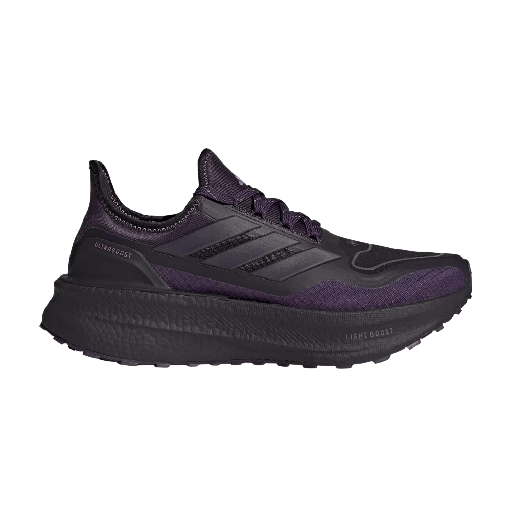 Кроссовки adidas WMNS ULTRABOOST 5 GTX 'Aurora Black'