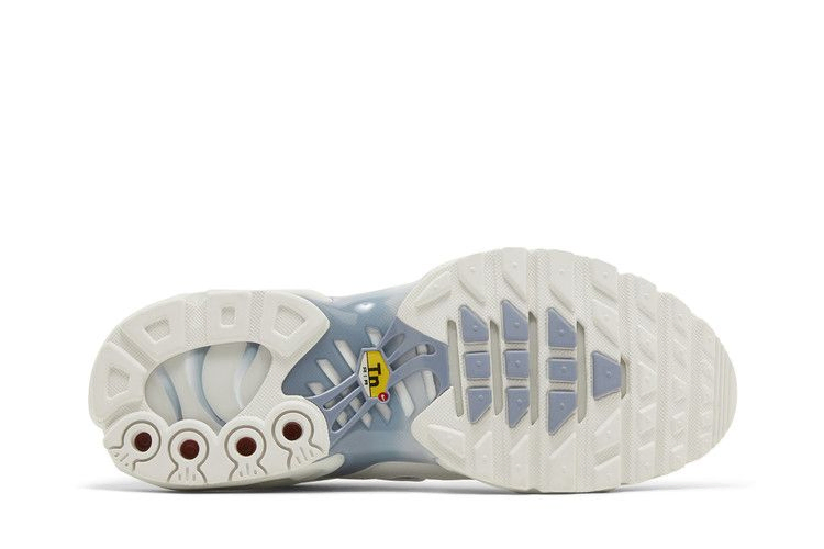 Кроссовки Nike Wmns Air Max Plus 'Ashen Slate'