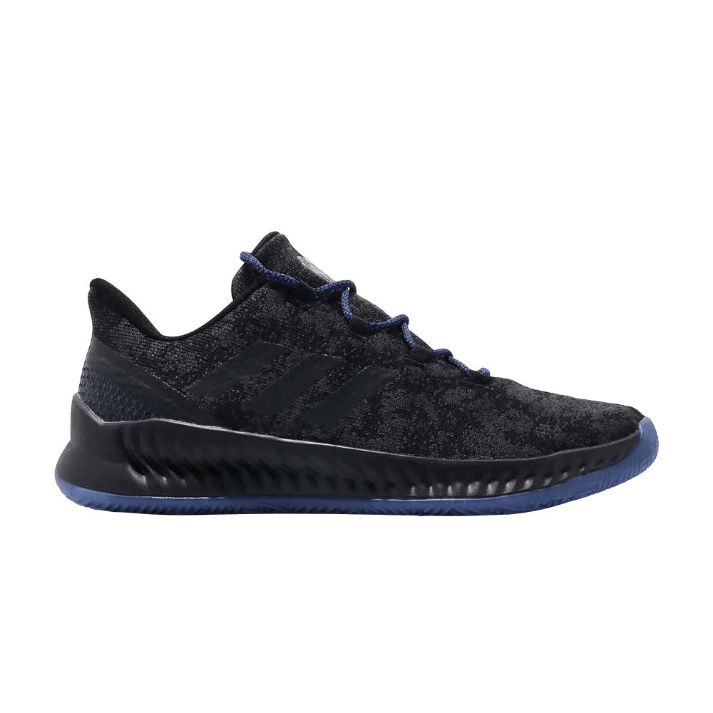 Krossovki-Adidas-Harden-BE-X-Black-Blue-Metallic