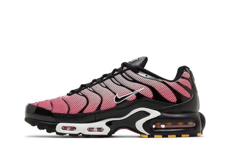 Кроссовки Nike Air Max Plus 'All Day'